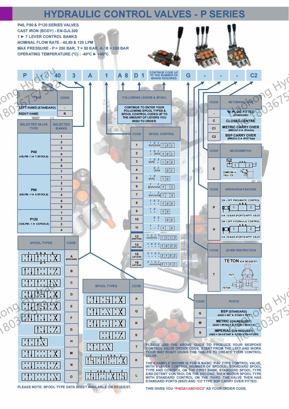 p40 catalog.png