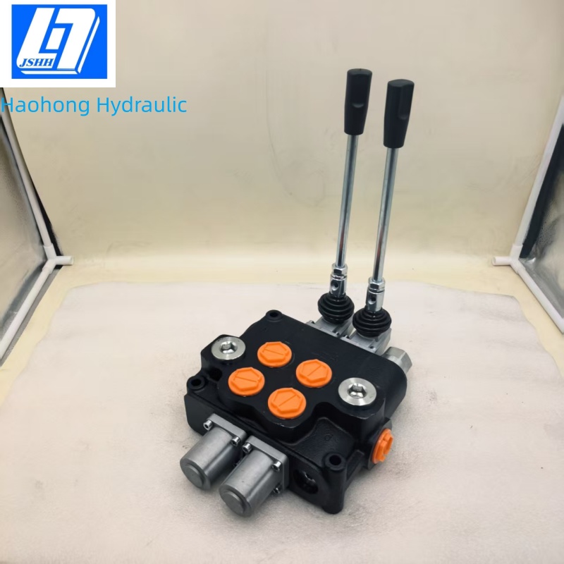 02P120-1A1A1-GKZ1 Monoblock Control Valve